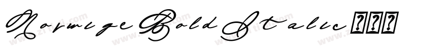 Norwige Bold Italic字体转换